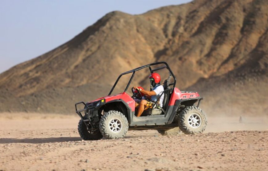 Buggy Safari Sharm ( 2 Seater)