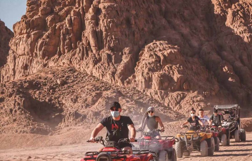 Quad Bike + Dinner + Show ( Sharm )