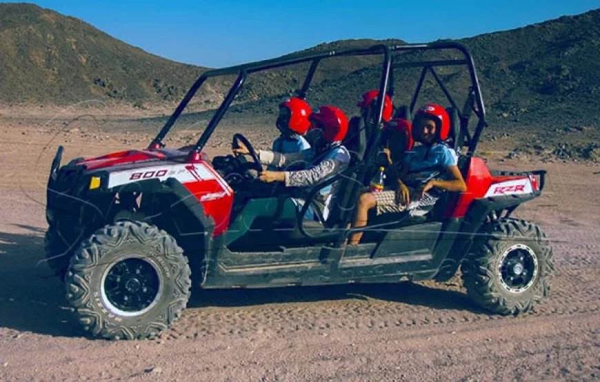 Buggy Safari Sharm ( 2 Seater)