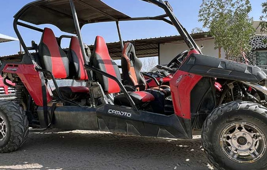 Buggy Safari Sharm ( 2 Seater)