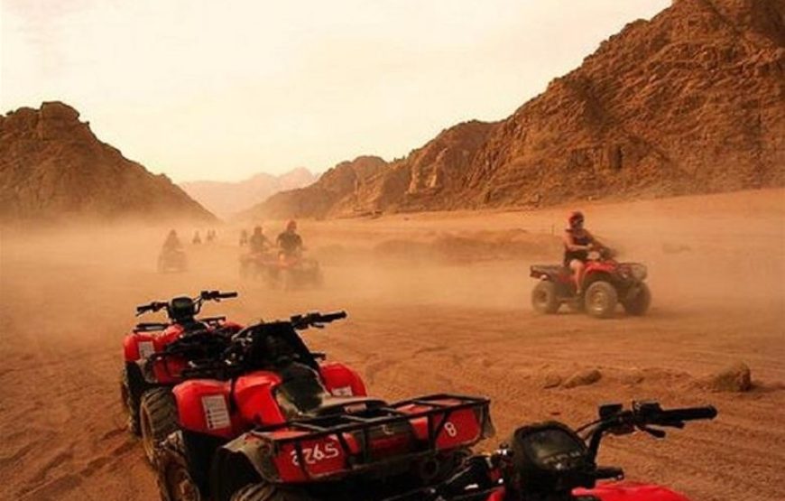 Quad Bike + Dinner + Show ( Sharm )